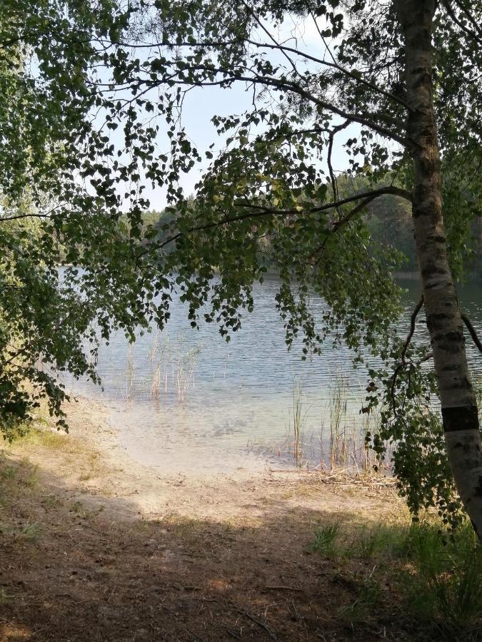Spreewaldhaeuser Golinski Mit Kamin Am Neuendorfer See Alt Schadow Exteriör bild