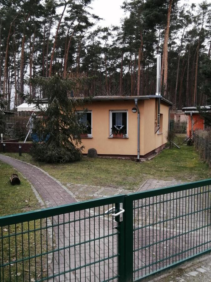 Spreewaldhaeuser Golinski Mit Kamin Am Neuendorfer See Alt Schadow Exteriör bild