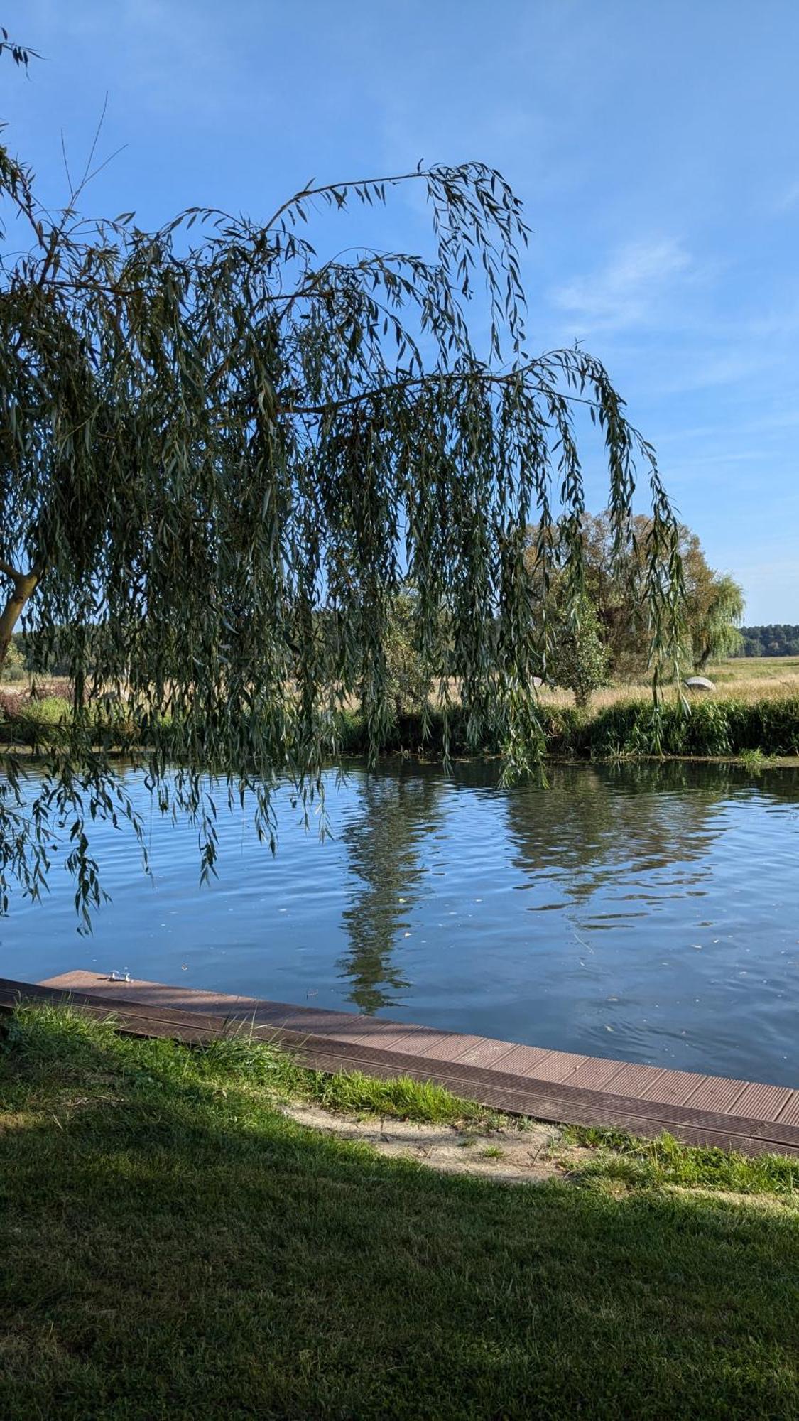 Spreewaldhaeuser Golinski Mit Kamin Am Neuendorfer See Alt Schadow Exteriör bild