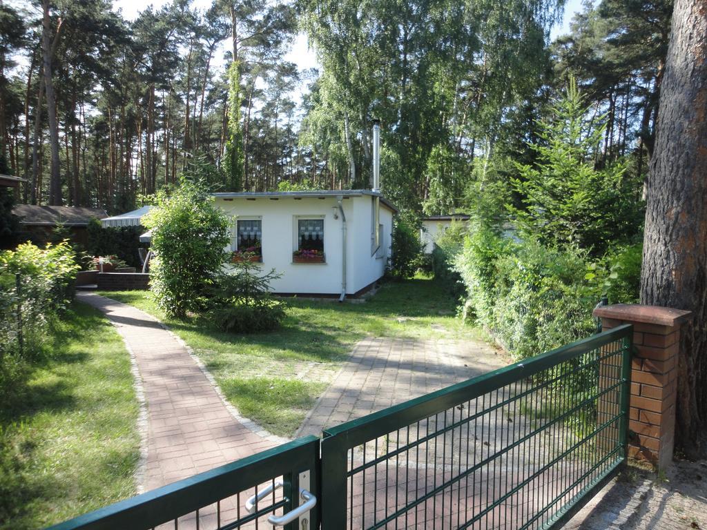 Spreewaldhaeuser Golinski Mit Kamin Am Neuendorfer See Alt Schadow Exteriör bild